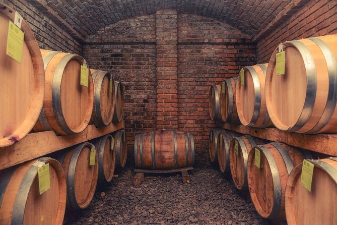 Full Day Trip From Belgrade: Novi Sad City Tour (Winery, Castle, Church) - Pickup and Start Time