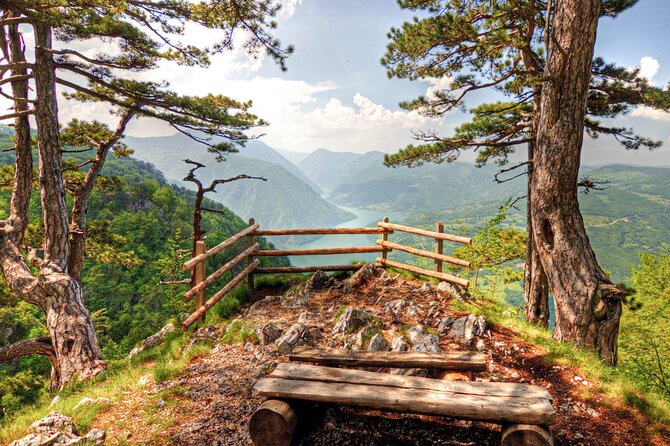 Full Day Trip From Belgrade: the Drina River House and Tara Park Tour - Key Points