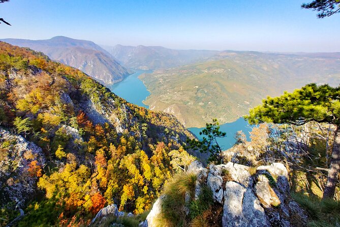 Full Day Trip From Belgrade: the Drina River House and Tara Park Tour - Tour Highlights and Covered Sites