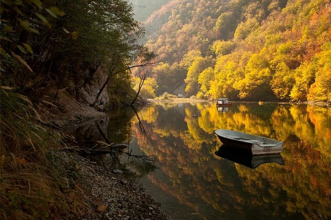 Full Day Trip From Belgrade: the Drina River House and Tara Park Tour - Customer Support and Assistance