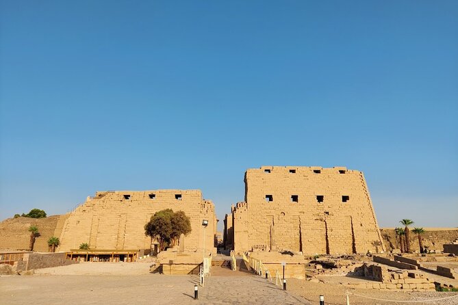 Full Day Trip From Cairo to Luxor - Customer Feedback and Experiences