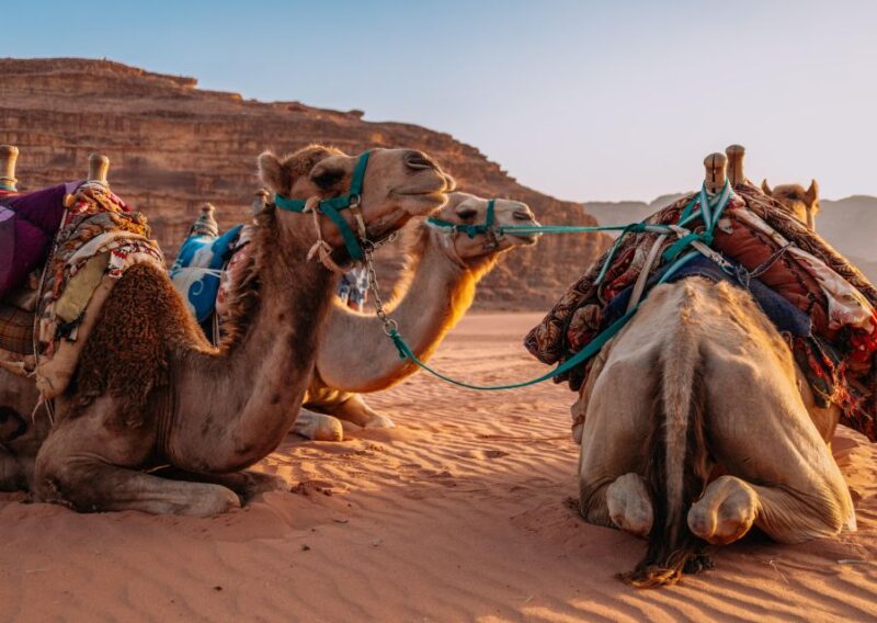 Full Day Trip From Marrakech & Berber Villages & Waterfalls - Argan Oil Production