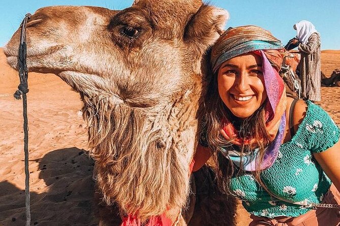 Full Day Trip From Marrakech & There Valley With Camel Ride - Key Points