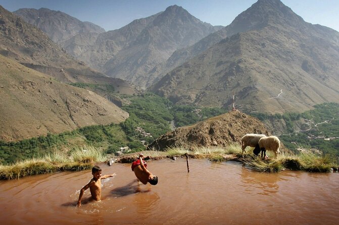 Full Day Trip From Marrakech & There Valley With Camel Ride - Breakfast and Lunch Included