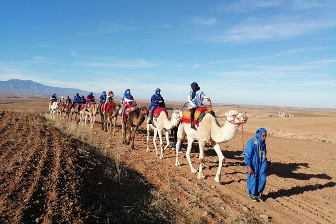 Full Day Trip From Marrakech & There Valley With Camel Ride - Accessibility and Fitness Level