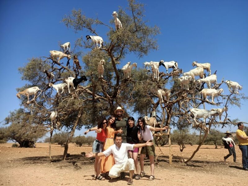 Full Day Trip From Marrakech To Essaouira Mogador - Scenic Journey