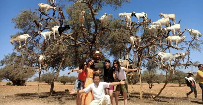 Full Day Trip From Marrakech To Essaouira Mogador - Frequently Asked Questions