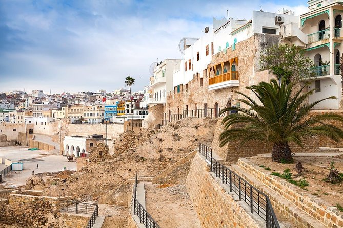 Full Day Trip in Tangier With Camel Ride - Traveler Reviews