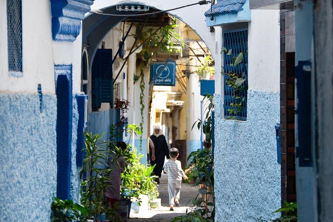 Full Day Trip in Tangier With Camel Ride - Highlights of the Tour