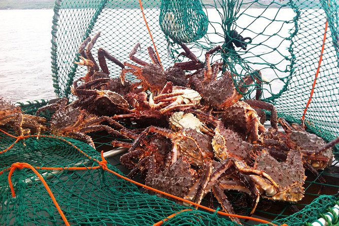 Full-Day Trip: King Crab Safari to Norway From Saariselkä Including Lunch - Crossing the Border