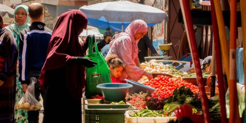 Full Day-Trip To Casablanca From Marrakesh - Transportation and Accessibility
