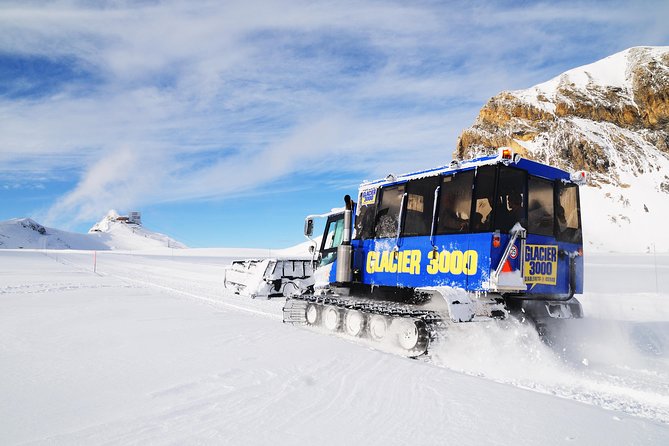 Full-Day Trip to Diablerets and Glacier 3000 From Montreux - Alpine Coaster Toboggan Run