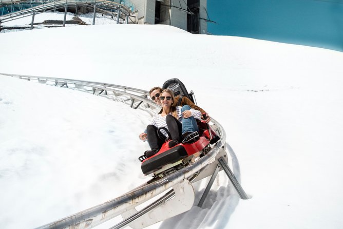 Full-Day Trip to Diablerets and Glacier 3000 From Montreux - Food and Wine Tasting