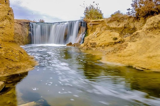 Full Day Trip to El-Fayoum Oasis & Wadi El-Hitan From Cairo - Exploring the Valley of the Whales