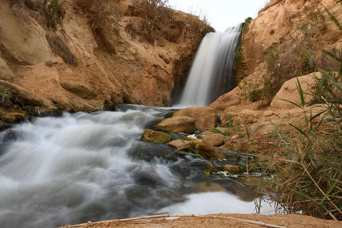 Full Day Trip to El-Fayoum Oasis & Wadi El-Hitan From Cairo - Discovering Qarun Lake and Wadi El-Rayan