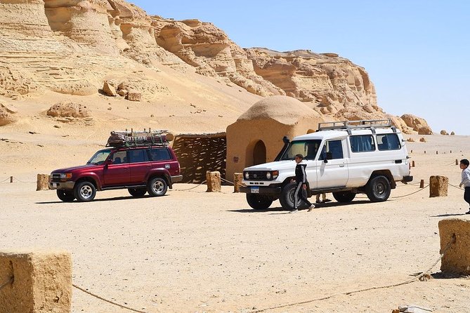 Full Day Trip to El-Fayoum Oasis & Wadi El-Hitan From Cairo - Tour Itinerary and Duration