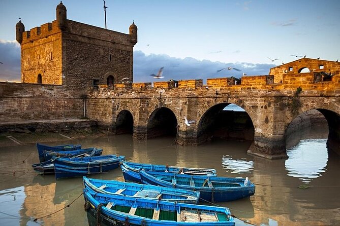 Full Day Trip to Essaouira City From Marrakech - Berber Argan Oil Cooperative