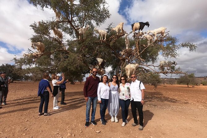 Full Day Trip to Essaouira City From Marrakech - Lunch With Sea Views