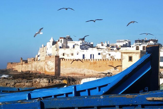 Full Day Trip to Essaouira City From Marrakech - What to Expect on the Trip
