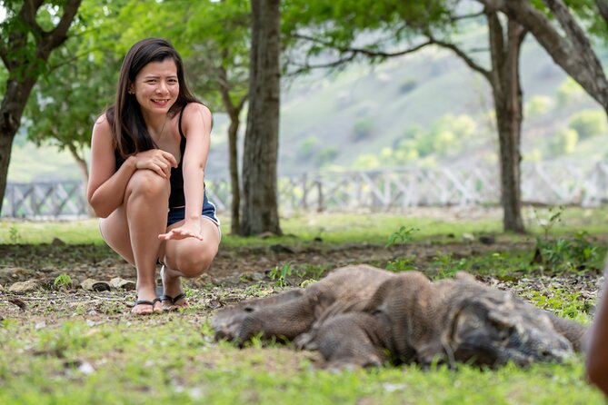 Full Day Trip to Explore 6 Destinations in Labuan Bajo and Komodo - Important Notes