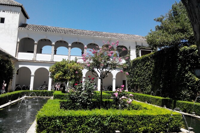 Full-Day Trip to Granada From Malaga With Private Guide - Pricing and Reviews