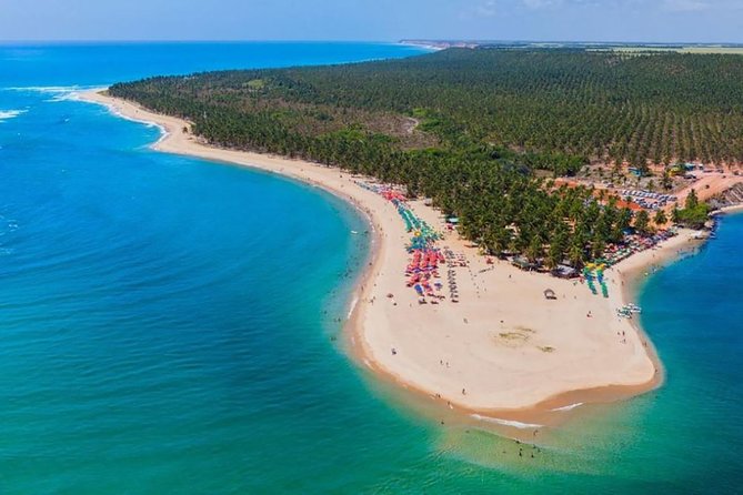 Full Day Trip to Gunga Beach From Maceió - Key Points