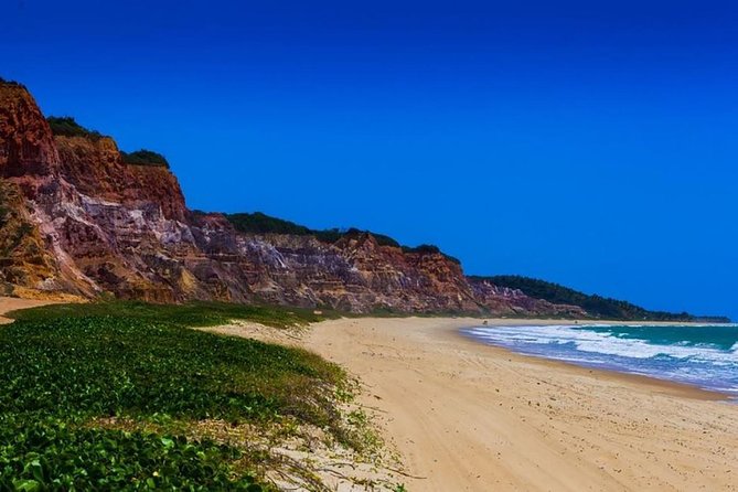 Full Day Trip to Gunga Beach From Maceió - Guest Reviews