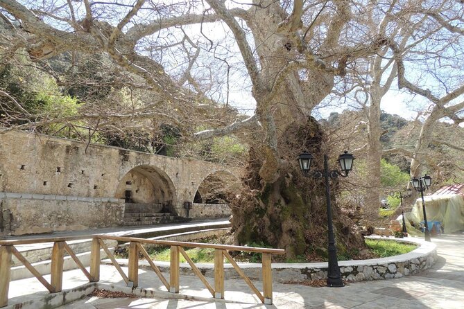 Full Day Trip to Knossos Cave of Zeus Lasithi & Olive Oil Factory - Additional Information