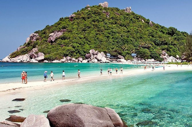 Full-Day Trip to Koh Tao and Koh Nang Yuan From Koh Samui by Speedboat - Customer Reviews