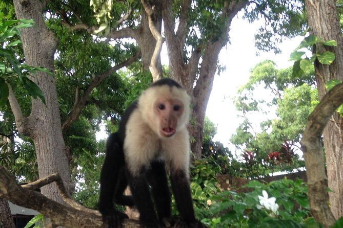Full-Day Trip to Nicaragua - Highlights of the Itinerary