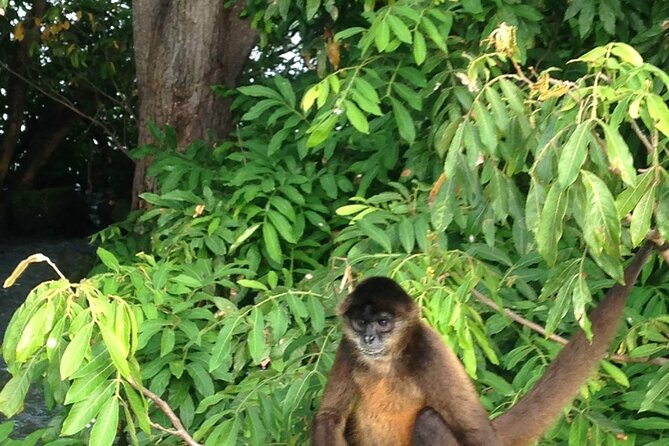Full-Day Trip to Nicaragua - Included in the Tour