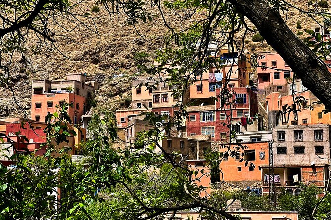 Full Day Trip to Ourika Vally - Highlights of the Day
