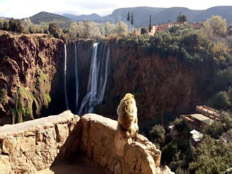 Full Day Trip to Ouzoud Waterfalls (Guide Hik & Boat Option) - Key Points