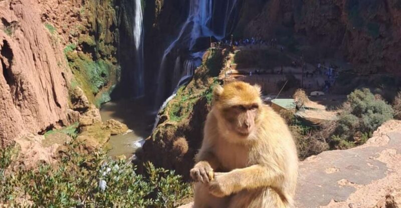 Full-Day Trip to Ouzoud Waterfalls - Breathtaking Cascades