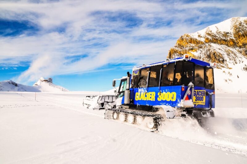 Full-Day Trip to Riviera Col Du Pillon & Glacier 3000 - Customer Reviews