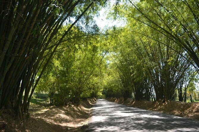 Full Day Trip to South Coast Jamaica from Kingston - An Overview of the Full Day Itinerary
