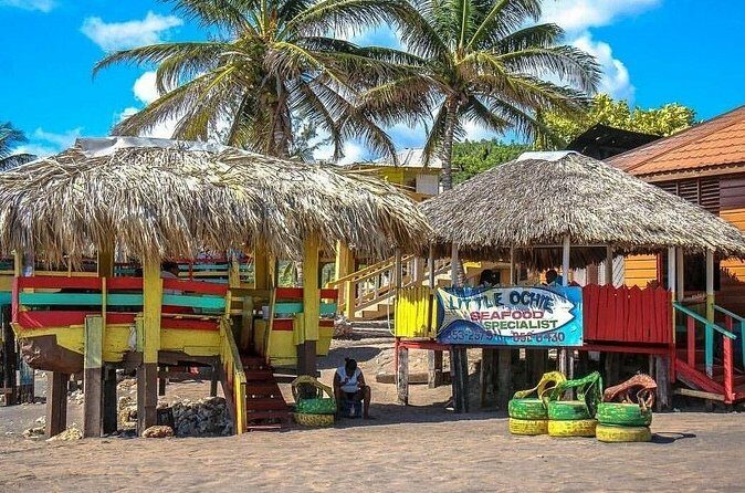 Full Day Trip to South Coast Jamaica from Kingston - Who Is This Tour Best For?