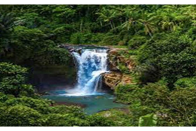 Full Day Ubud and Tanah Lot Tour - Transport and Guide