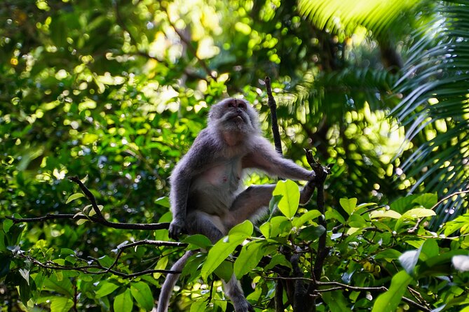 Full Day – Ubud Art Village and Mount Batur Kintamani With Lunch - Mount Batur Kintamani