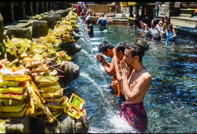 Full-Day Ubud Tours All Inclusive - Transportation and Guide