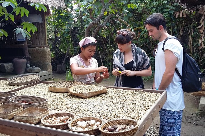 Full-Day Ubud Village Including Mt Batur Tirta Empul and Sightseeing Tour - Additional Tour Information and Inquiries