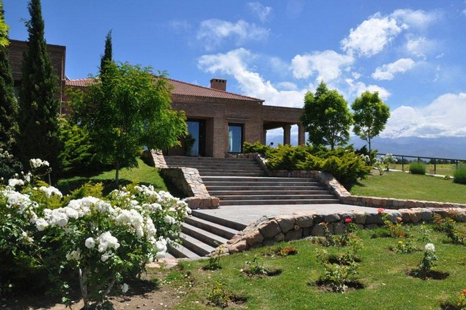 Full Day Uco Valley Wine Experience With Salentein - Winemaking History