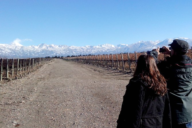 Full Day Uco Valley Wine Experience With Salentein - Age and Accessibility