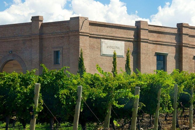 Full Day Uco Valley Wine Experience With Salentein - Guest Reviews