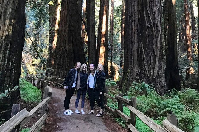 Full Day - Ultimate City Tour Plus Redwoods & Sausalito Private Tour by Jeep - Vehicle Details