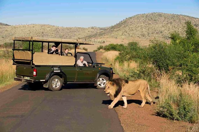 Full Day Ultimate Pilanesberg National Park Safari From Johannesburg or Pretoria - Pickup Times and Locations