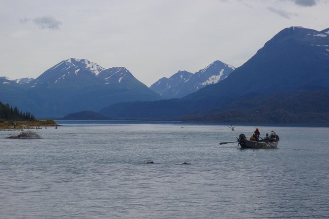 Full-Day Upper Kenai River Guided Fishing Trip - Weather and Group Size