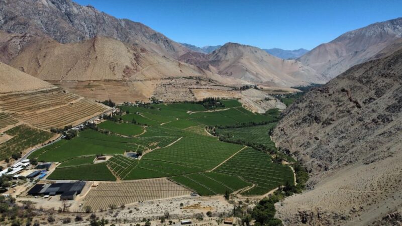 Full Day Valle Del Elqui - Highlights of the Itinerary