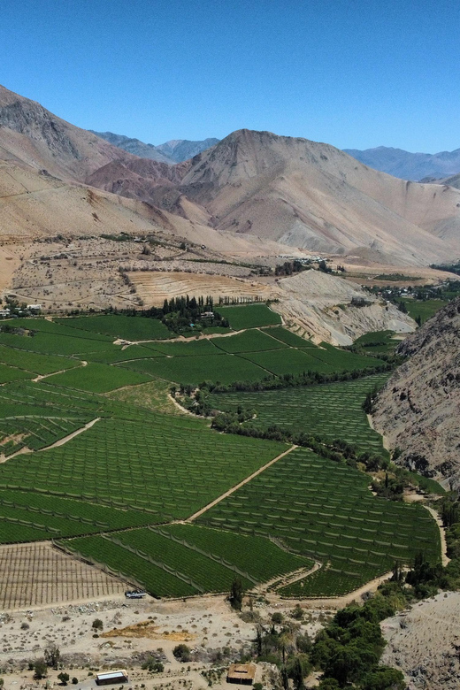 Full Day Valle Del Elqui - Lunch and Local Cuisine