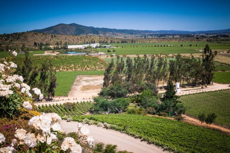 Full Day Valparaiso & Casablanca Valley Tour From Santiago - Important Information